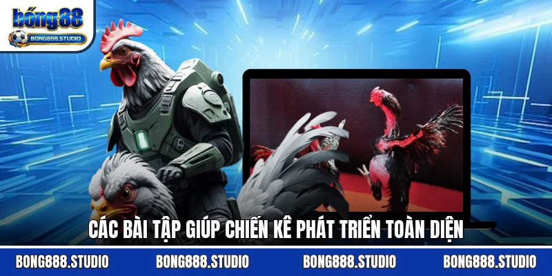 Các bài tập giúp chiến kê phát triển toàn diện
