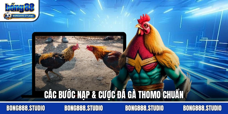 Các bước nạp & cược đá gà Thomo chuẩn