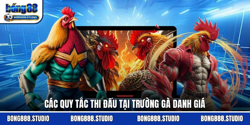 Các quy tắc thi đấu tại trường gà danh giá