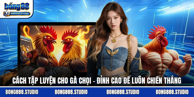 Cách Tập Luyện Cho Gà Chọi - Đỉnh Cao Để Luôn Chiến Thắng