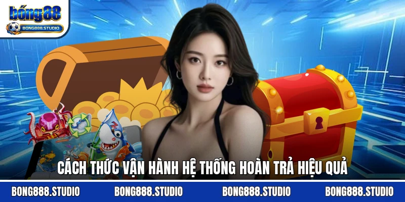 Cách thức vận hành hệ thống hoàn trả hiệu quả