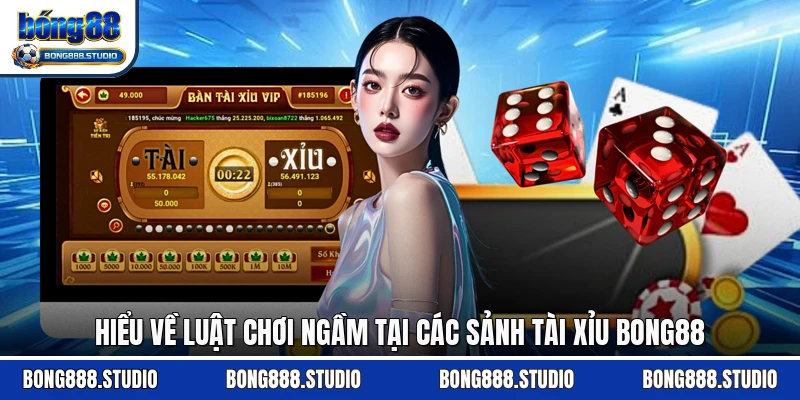 Hiểu về luật chơi ngầm tại các sảnh tài xỉu Bong88