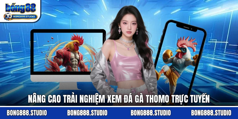 Nâng cao trải nghiệm xem đá gà Thomo trực tuyến