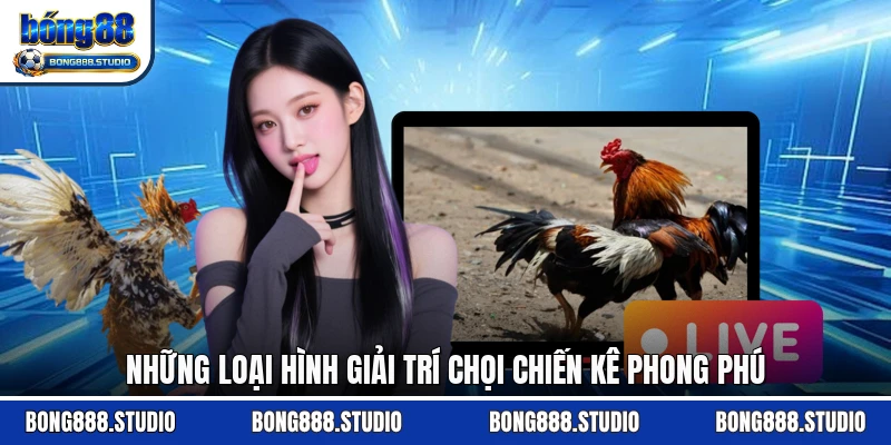 Những loại hình giải trí chọi chiến kê phong phú