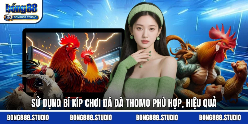 Sử dụng bí kíp chơi đá gà thomo phù hợp, hiệu quả